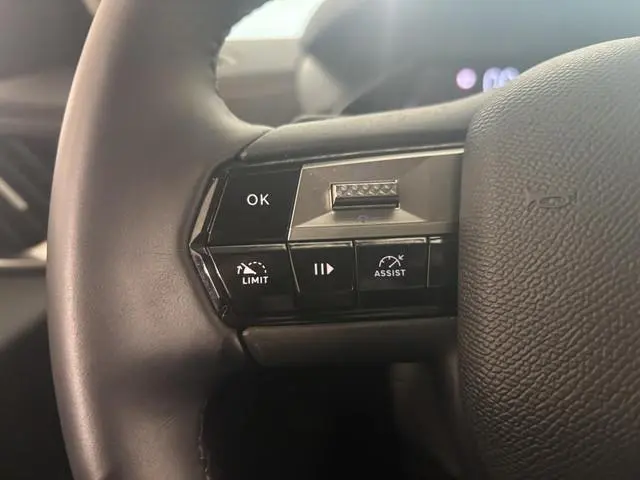 DS DS 3