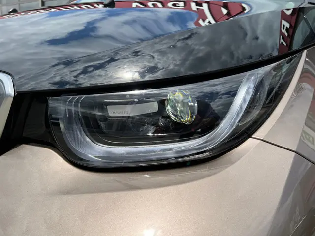 BMW i3 Executive  120Ah 42 kWh/ Leder/H-Kardon/W-Pomp/Camera/3-Fase