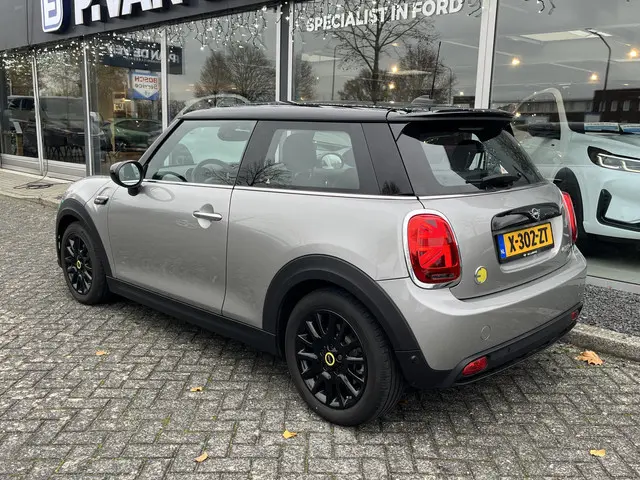 Mini Mini