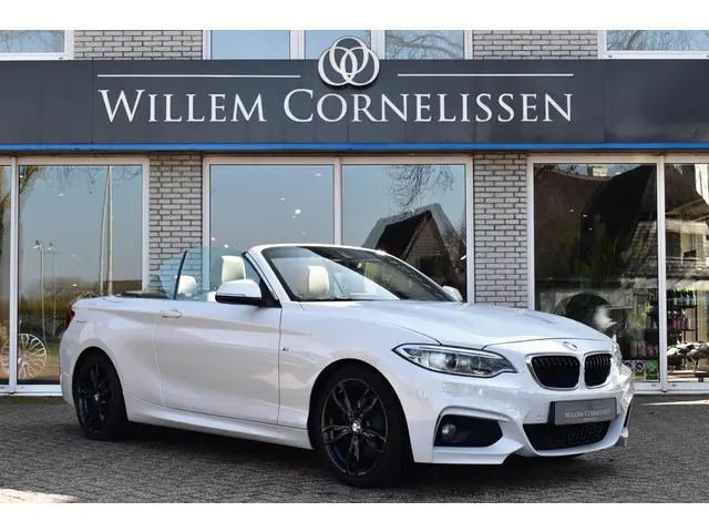 BMW 2-serie Cabrio 220i M Sport Harman/Kardon Leder Camera Stoelverwarming Navi