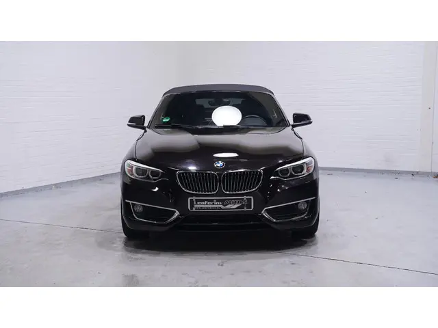 BMW 2-serie Cabrio 218i Luxury Navi Clima Leder Apple Carplay Bi- Xenon Afn. trekhaak Cruise PDC