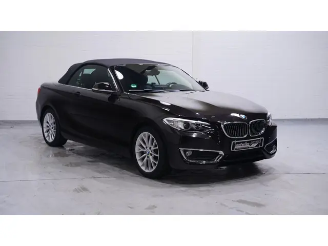 BMW 2-serie Cabrio 218i Luxury Navi Clima Leder Apple Carplay Bi- Xenon Afn. trekhaak Cruise PDC