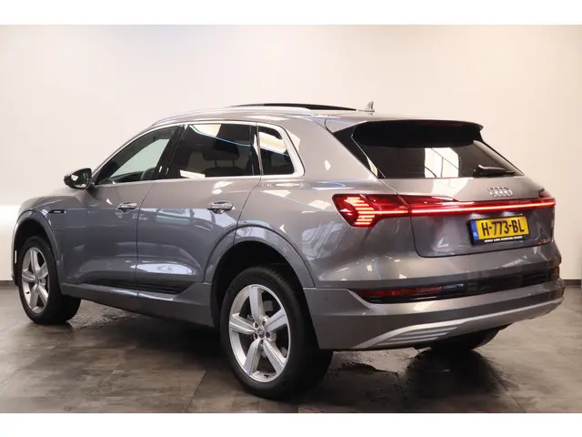 Audi e-tron e-tron 50 quattro Launch edition plus 71 kWh Memory Keyless Go/Start ACC ECC Carplay