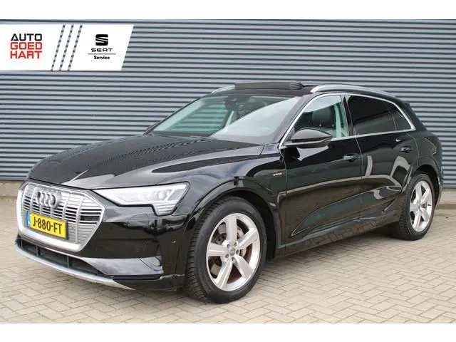 Audi e-tron 55 Quattro 95 kWh Leer Panoramadak Adaptive-Cruis Camera
