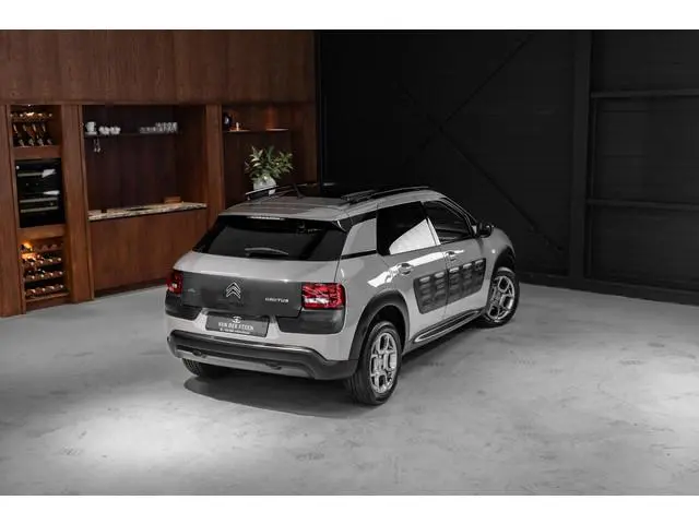 Citroen C4 Cactus 1.2 PureTech Shine Pano | Origineel Nederlands geleverde auto