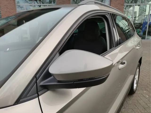 ŠKODA Karoq 1.5 TSI DSG ACT Ambition Business Adaptieve Cr.control - Achteruitrijcamera - Getinte ru...
