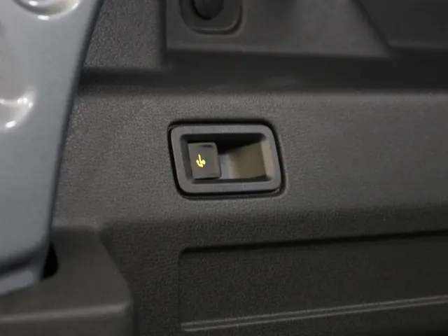 Volkswagen ID. Buzz Cargo