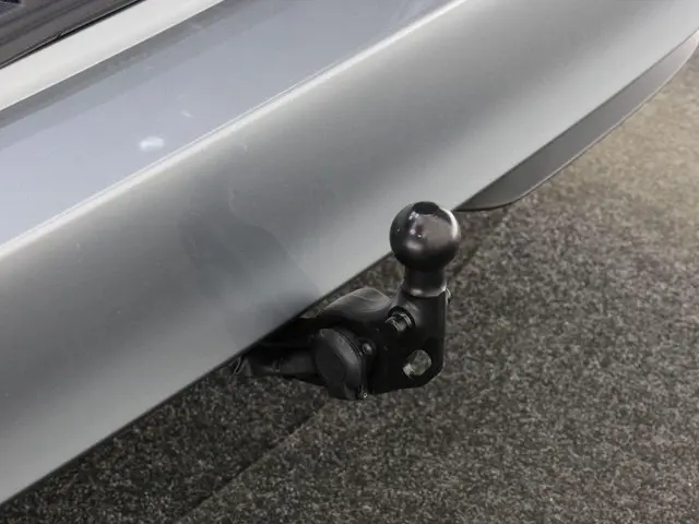 Volkswagen ID. Buzz Cargo