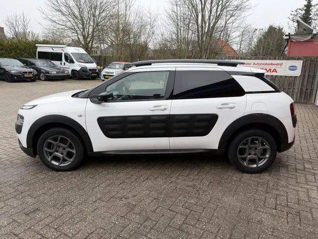 Citroën C4 Cactus 1.2 PureTech 82 PK | Shine | Navigatie |