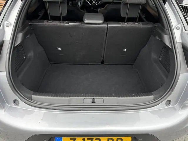 DS DS 3