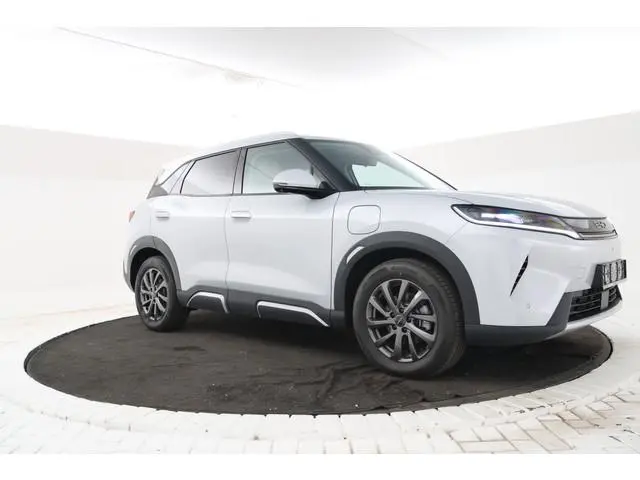 BYD ATTO 2
