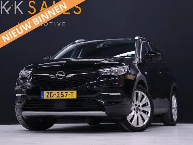 Opel Grandland X 1.2 Turbo Business Executive [APPLE CARPLAY, CAMERA, DODE HOEK DETECTIE, CRUISE CON...