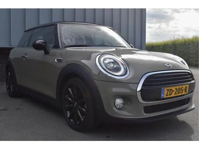 Mini Mini