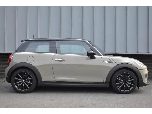 Mini Mini