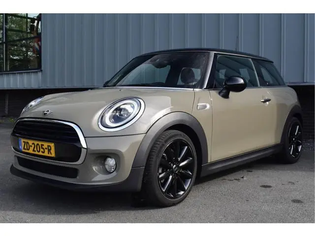 Mini Mini