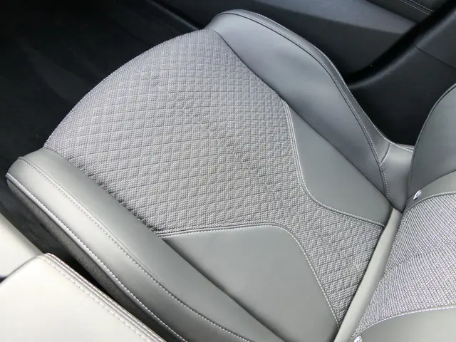 DS DS 4