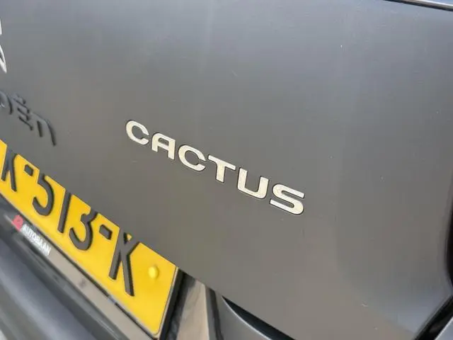 Citroën C4 Cactus