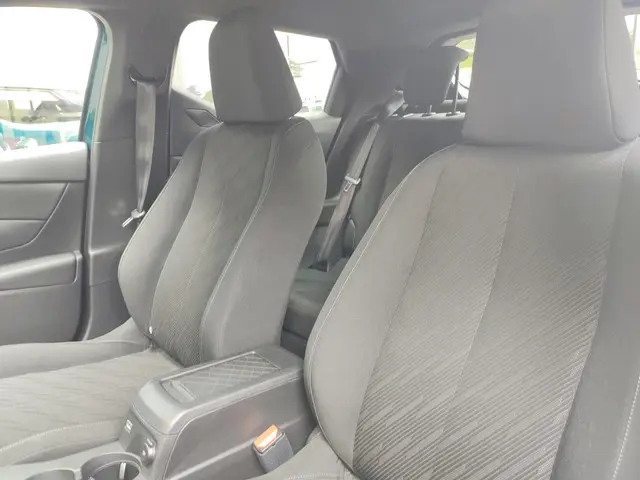 DS DS 3