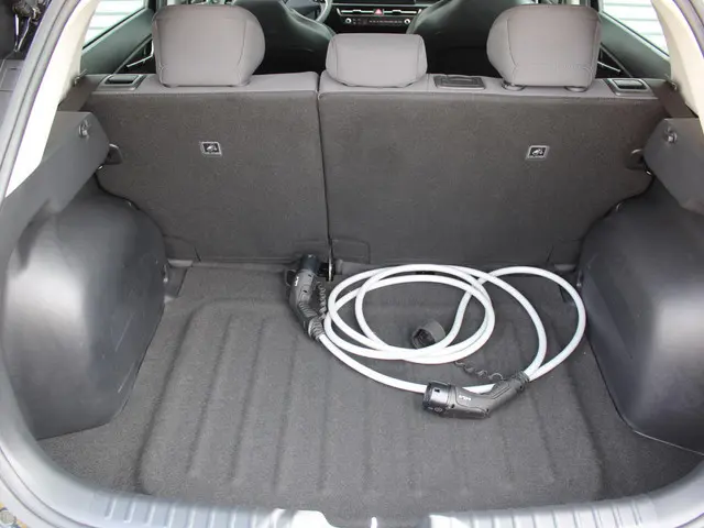 Kia Niro EV