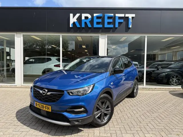 Opel Grandland X 1.2 Turbo Ultimate Stoelverwarming | App Connect