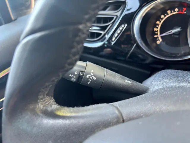 DS DS 3