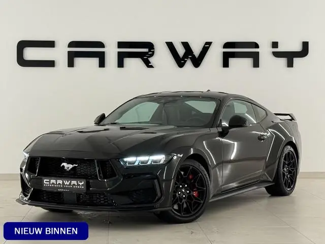 Ford Mustang Fastback Performance Enige 2026 Mustang In Nederland!