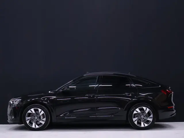 Audi e-tron Sportback 50 quattro S edition 71 kWh [ADAPTIVE CRUISE, APPLE CARPLAY, CAMERA, STOELVERW...