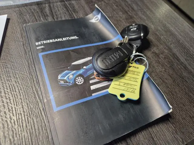 Mini Mini