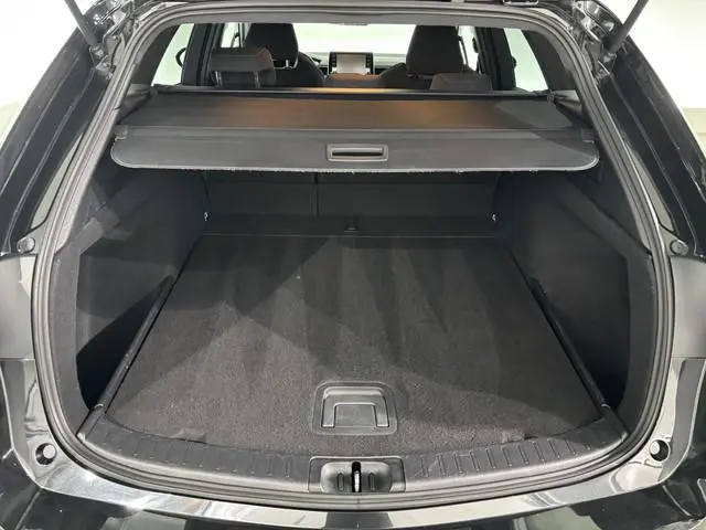 Suzuki Swace