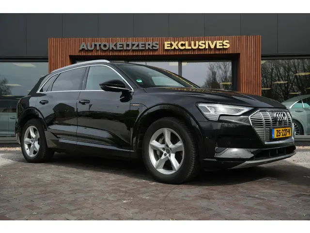 Audi e-tron e-tron 55 quattro advanced 95 kWh S Line B&O Adaptieve Cruise LED Stoelverw.