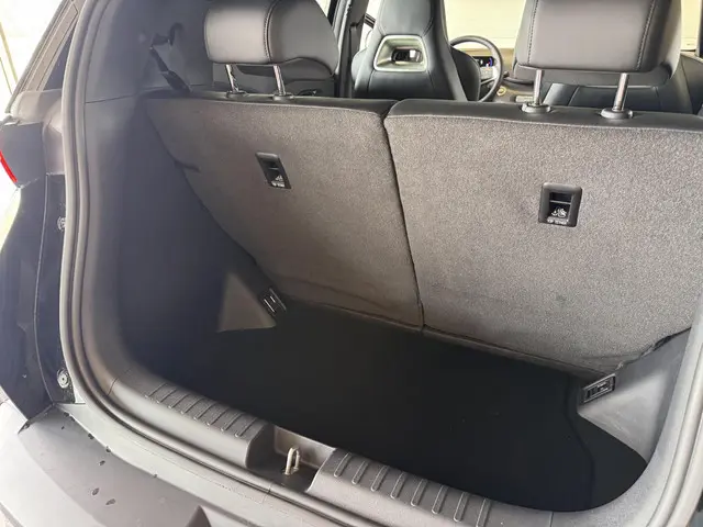 BYD DOLPHIN SURF
