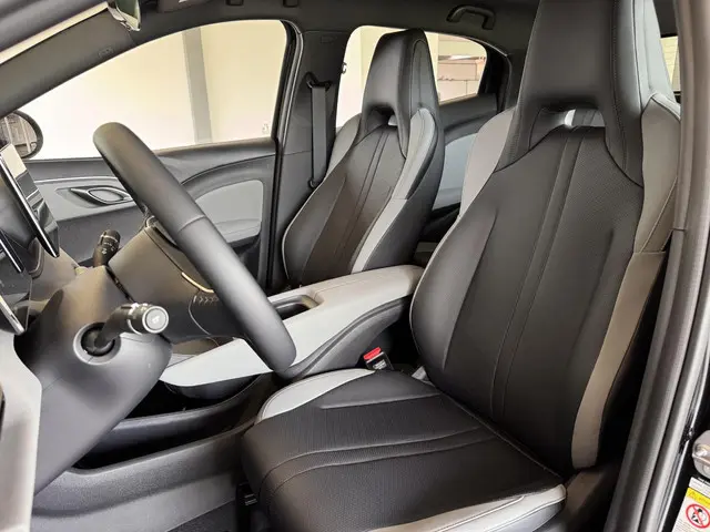 BYD DOLPHIN SURF