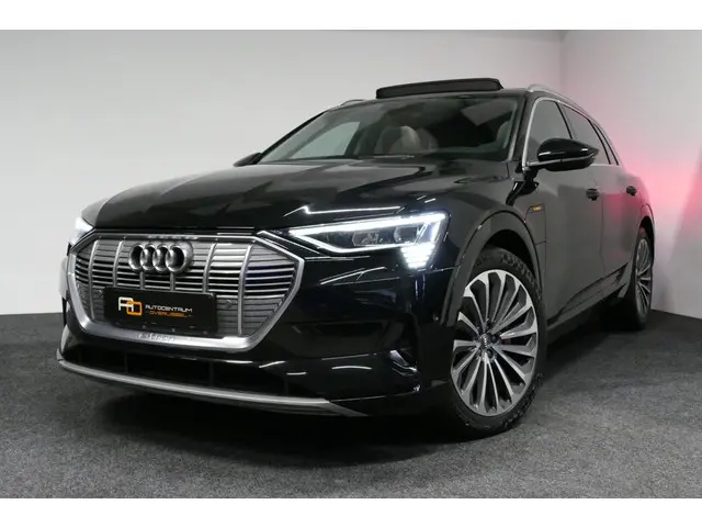 Audi e-tron 55 quattro Business Edition Plus 95 kWh / SOH 89% / Panoramadak / Elektr. verstelbare vo...