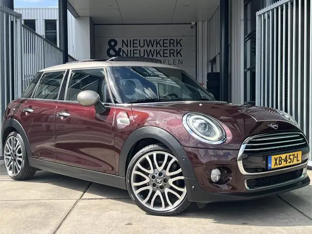 Mini Mini