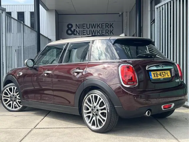 Mini Mini