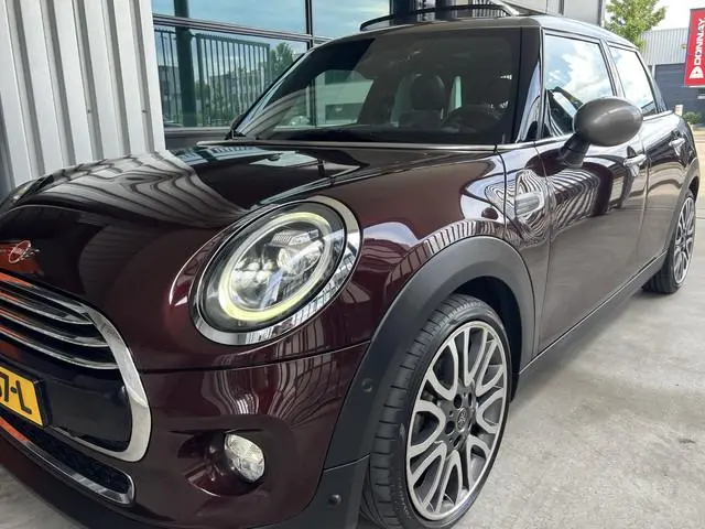 Mini Mini