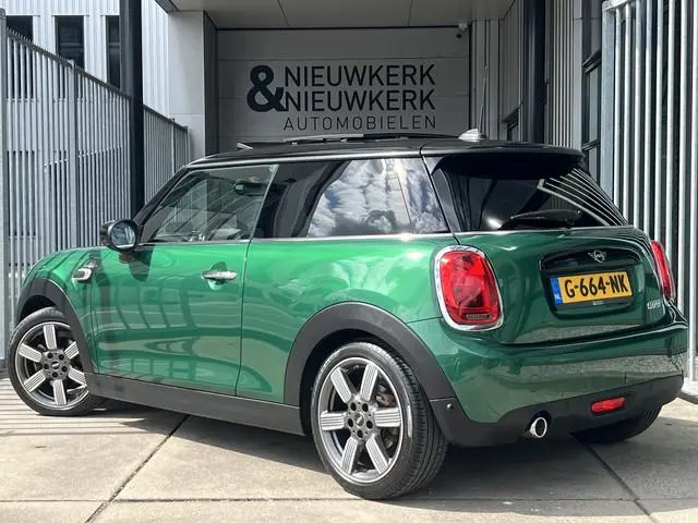 Mini Mini
