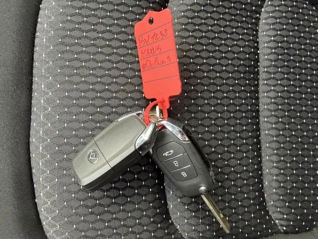 Maxus eDeliver9