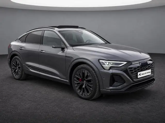 Audi Q8 Sportback e-tron 55 quattro S Line 115 kWh 300kW/408PK · Panoramadak · Luchtvering · 360°Cam...