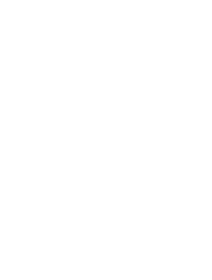 dossierinformatie